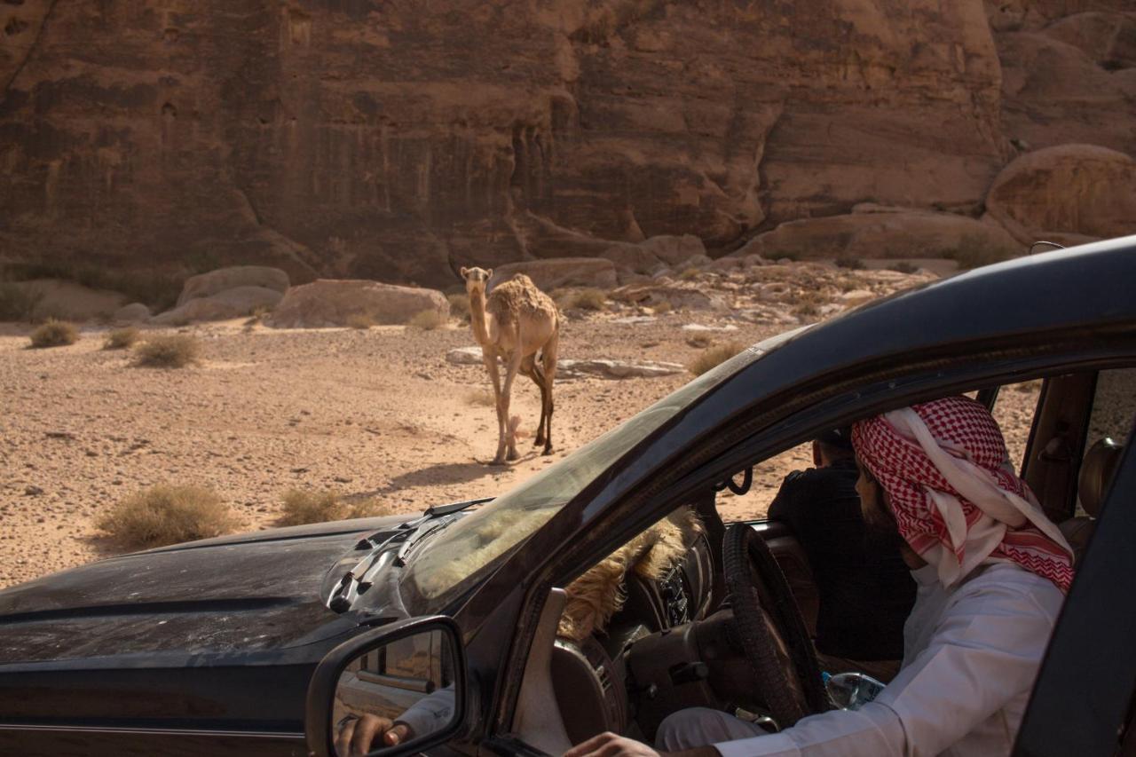 Wadi Rum Desert Home Eksteriør bilde